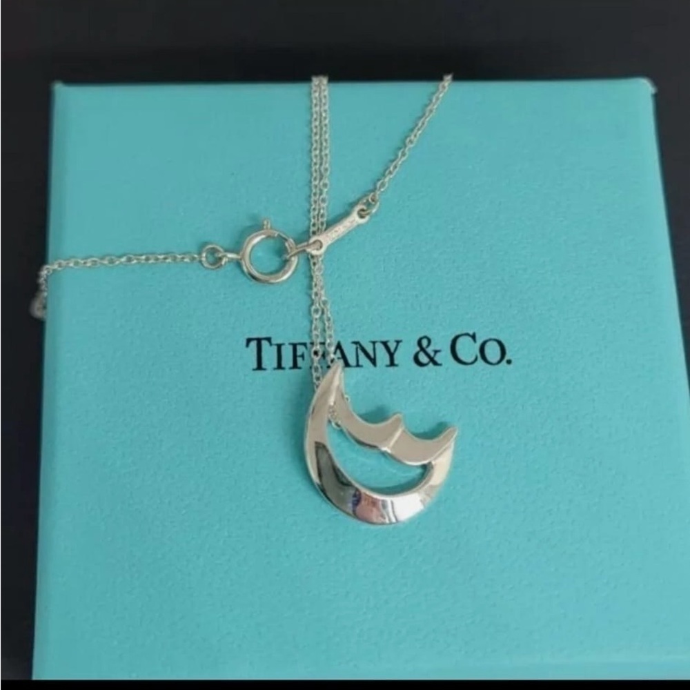 Tiffany & Co. Silver Moon Necklace